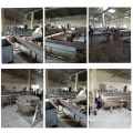 Round tuna fish processing line canned tuna machine